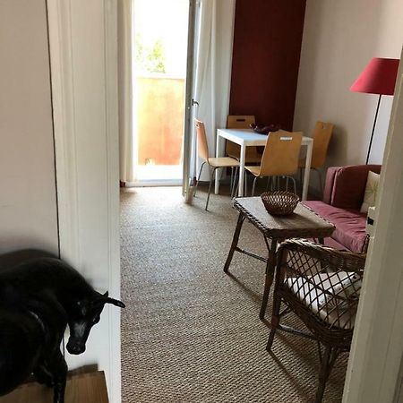 Appartement Hippolyte Montpellier Eksteriør billede